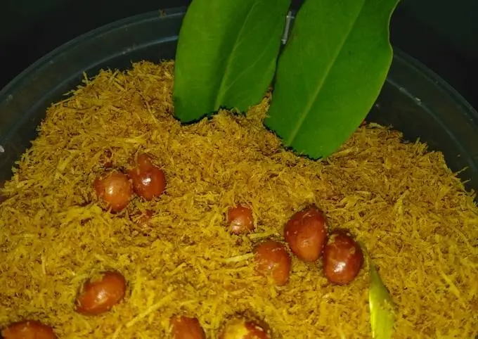 CARA KERJA RETORT STERILIZER